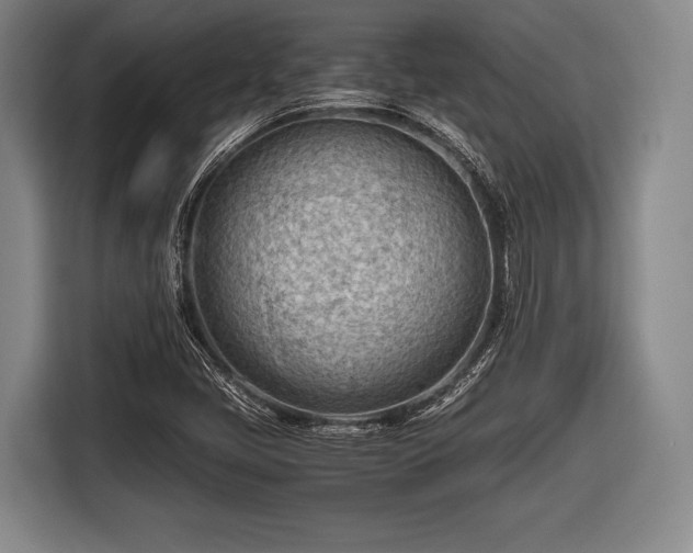 X0000116641405200912210952