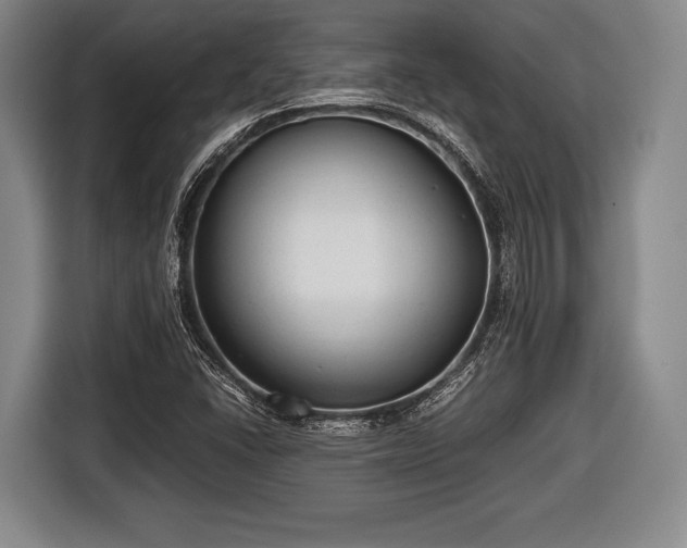 X0000116641406200912210952