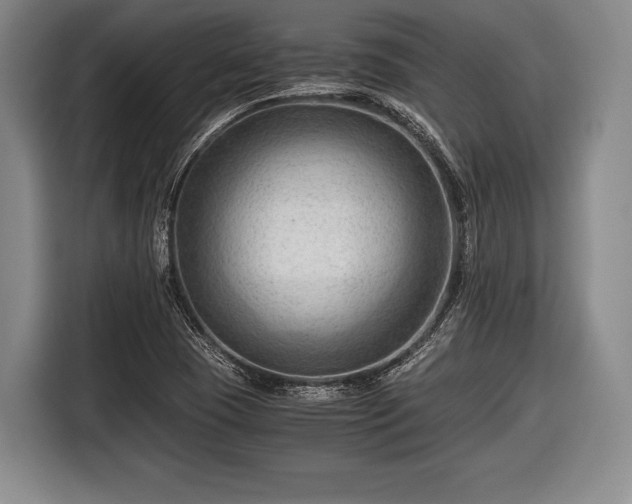 X0000116641409200912210952