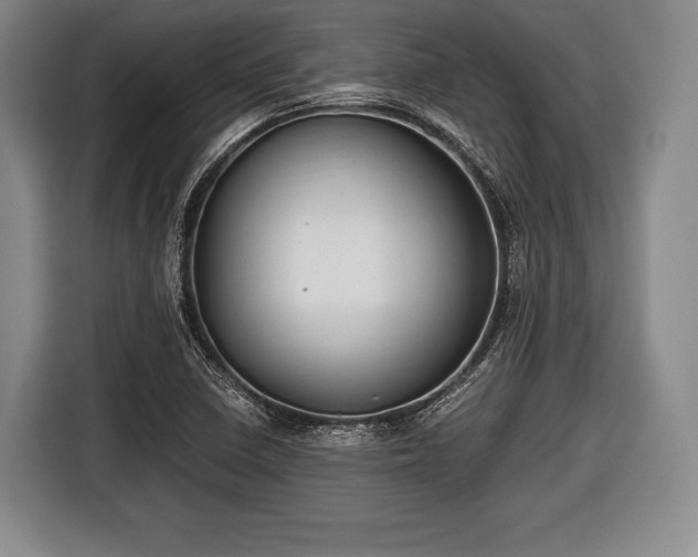 X0000116641410200912210952