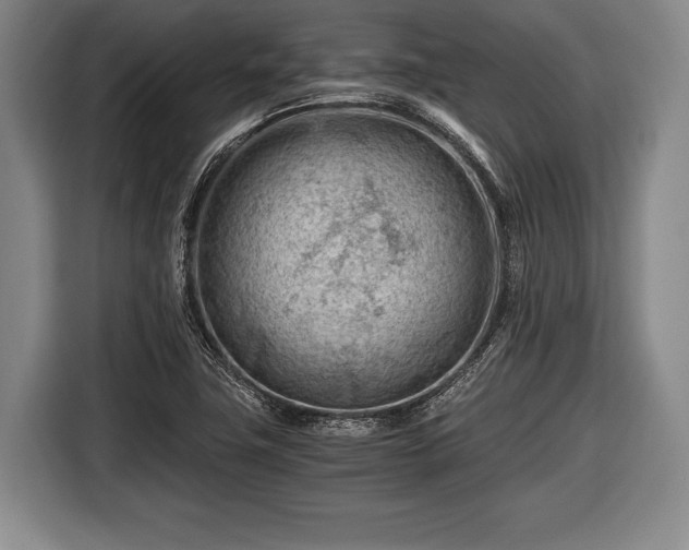 X0000116641411200912210952