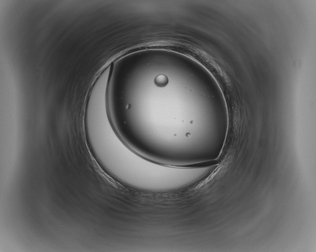 X0000116641417200912210952