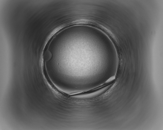 X0000116641418200912210952