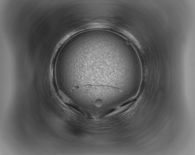 X0000116641419200912210952