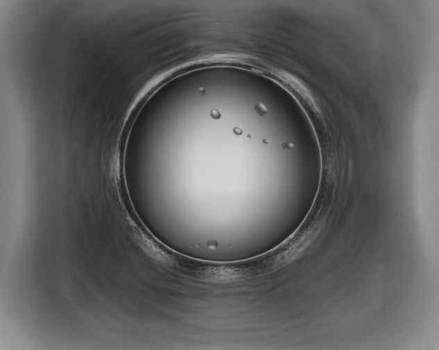 X0000116641420200912210952