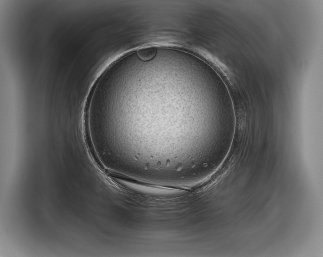 X0000116641423200912210952