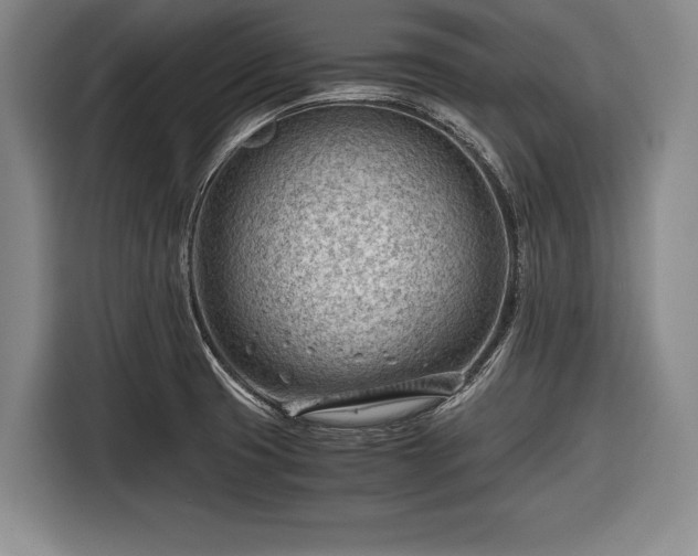 X0000116641425200912210952