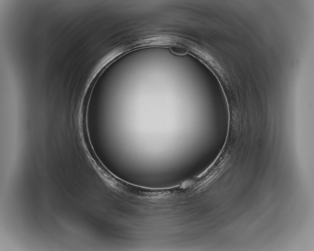 X0000116641426200912210952