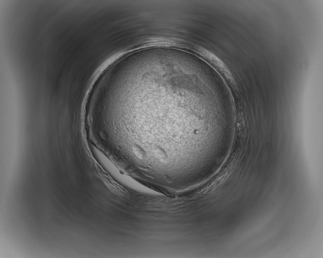 X0000116641427200912210952