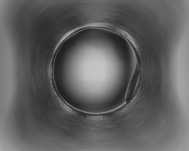 X0000116641428200912210952