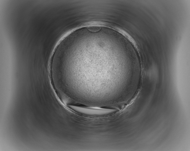 X0000116641429200912210952