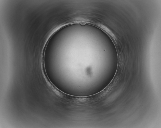 X0000116641431200912210952