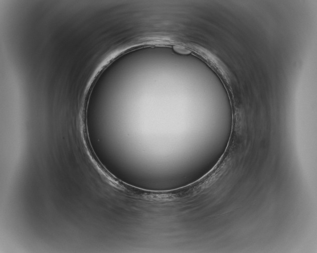 X0000116641432200912210952