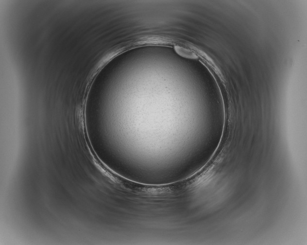 X0000116641433200912210952