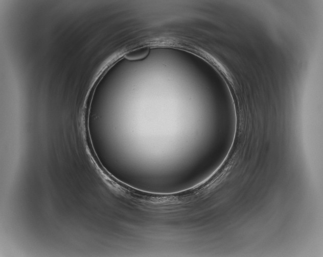 X0000116641434200912210952