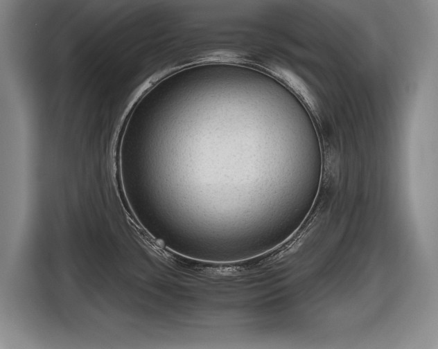 X0000116641435200912210952