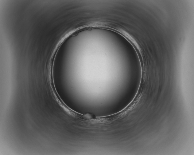 X0000116641437200912210952