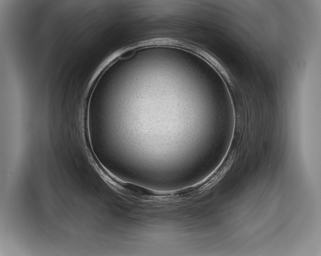 X0000116641438200912210952