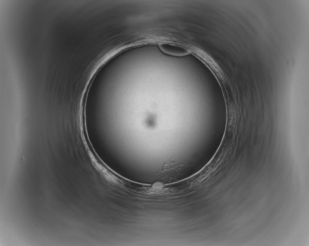 X0000116641439200912210952