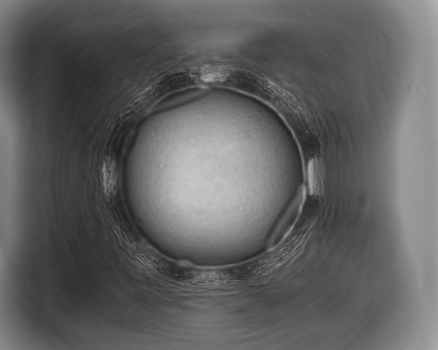 X0000116641443200912210952