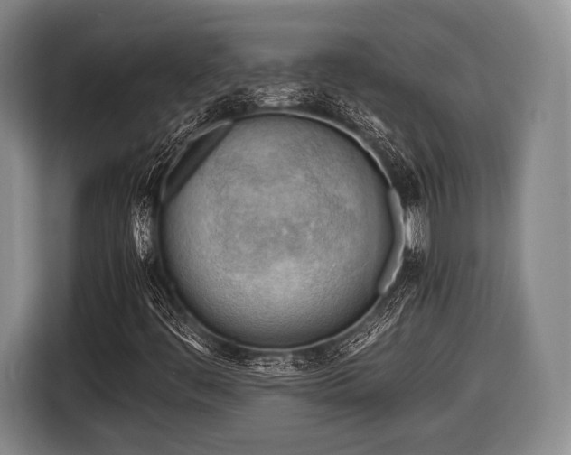 X0000116641444200912210952