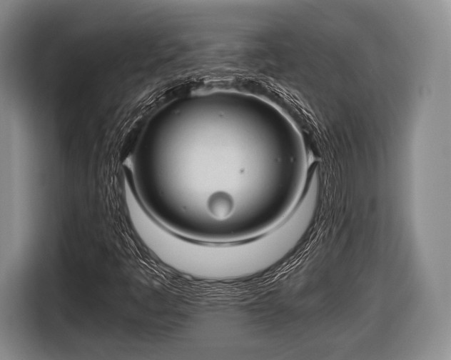 X0000116641445200912210952