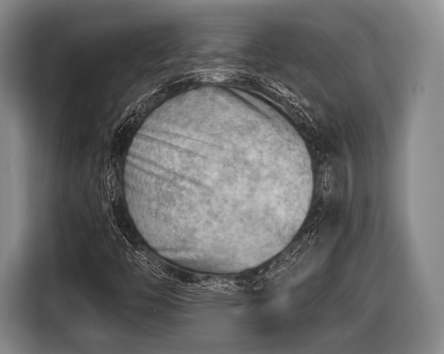 X0000116641446200912210952