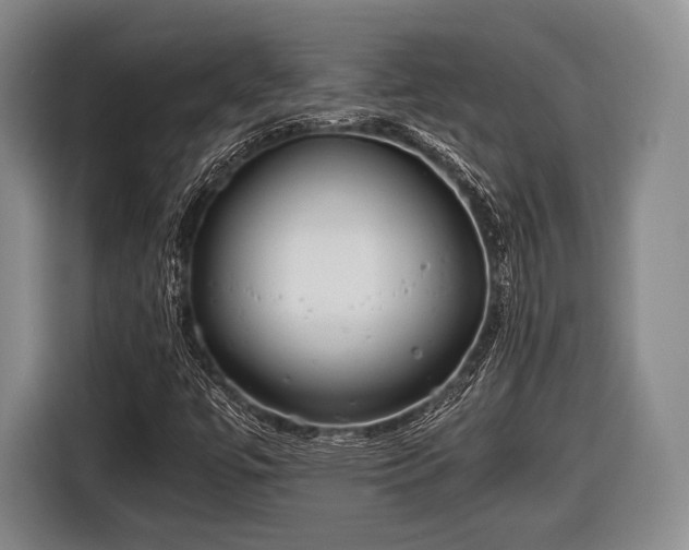 X0000116641447200912210952