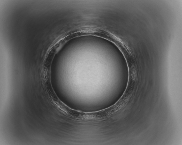 X0000116641448200912210952