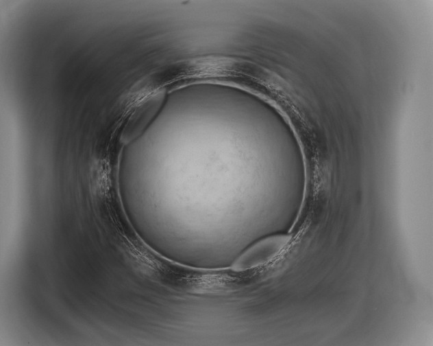 X0000116641449200912210952