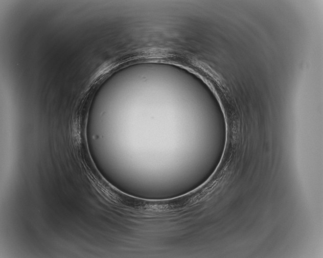 X0000116641451200912210952