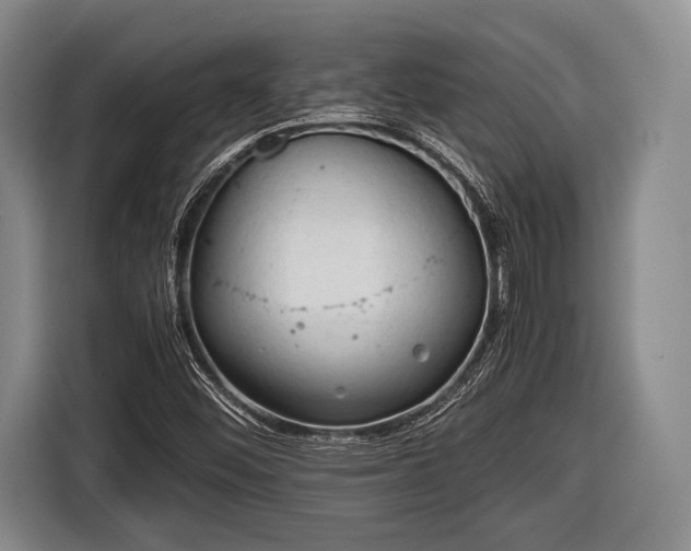 X0000116641452200912210952