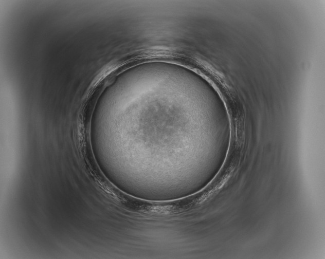 X0000116641453200912210952