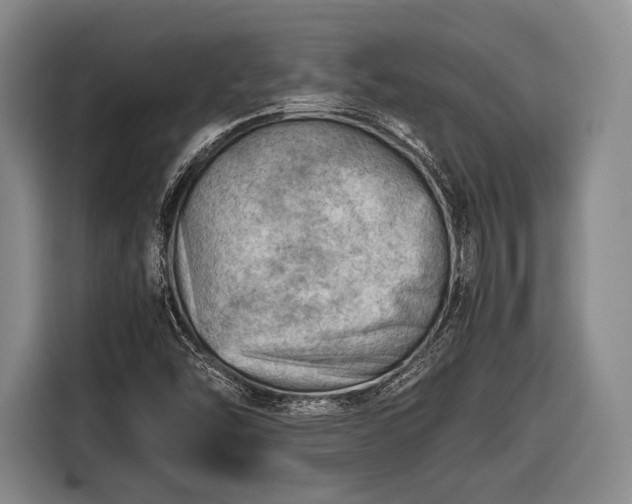 X0000116641454200912210952