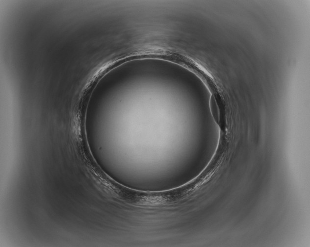 X0000116641455200912210951