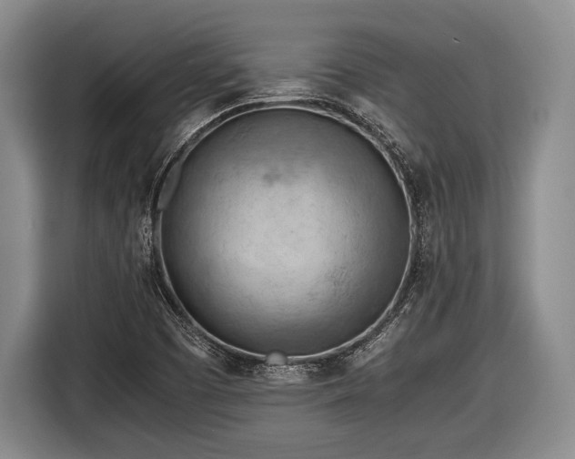 X0000116641457200912210951