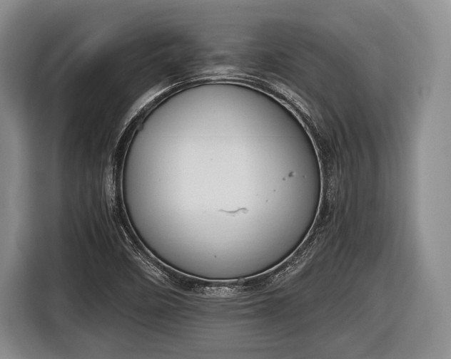 X0000116641458200912210951