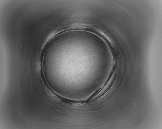 X0000116641459200912210951