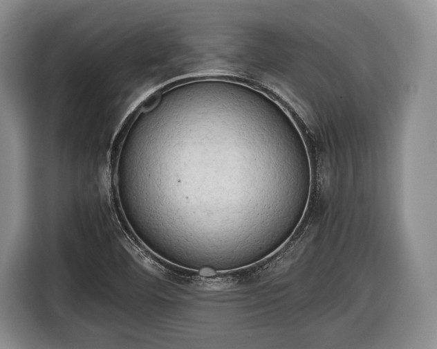 X0000116641460200912210951