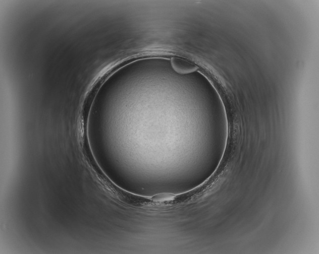 X0000116641461200912210951