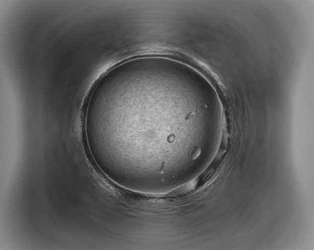 X0000116641463200912210951