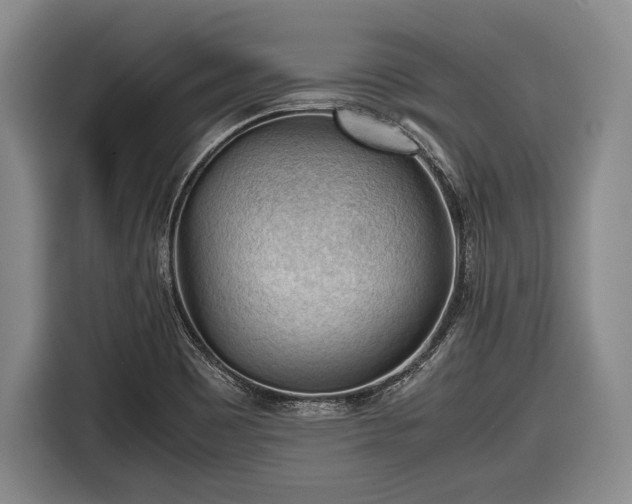 X0000116641465200912210951