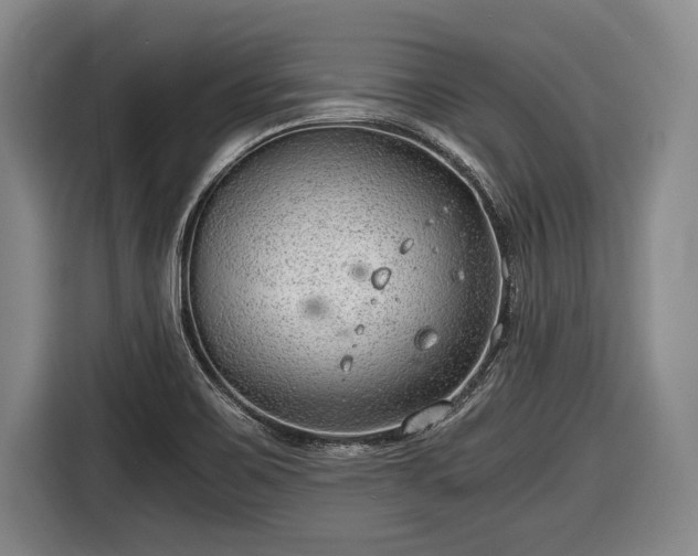 X0000116641467200912210951