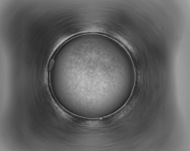 X0000116641468200912210951