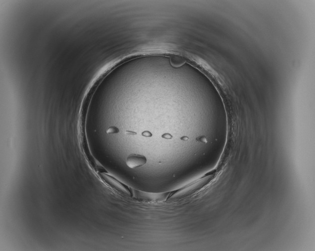 X0000116641469200912210951