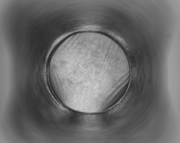 X0000116641470200912210951