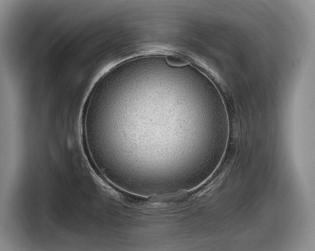 X0000116641471200912210951