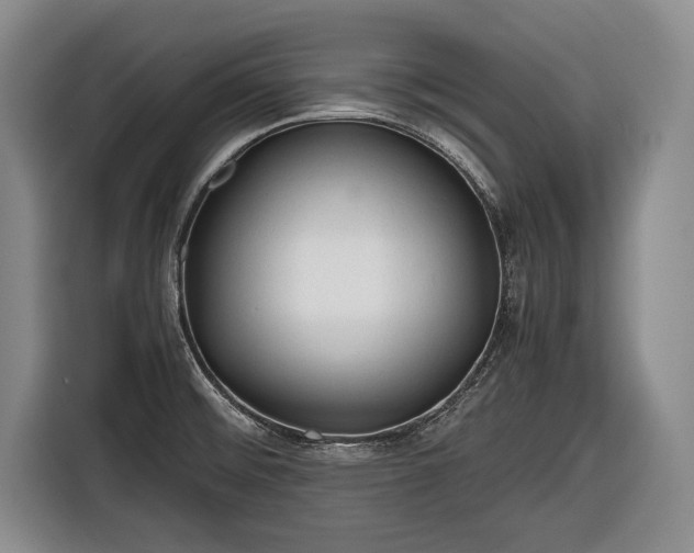 X0000116641476200912210951