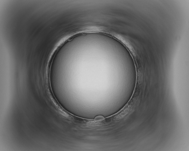 X0000116641477200912210951