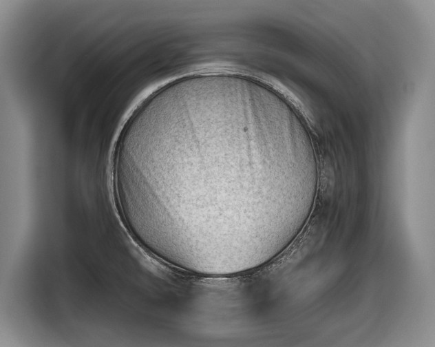 X0000116641478200912210951